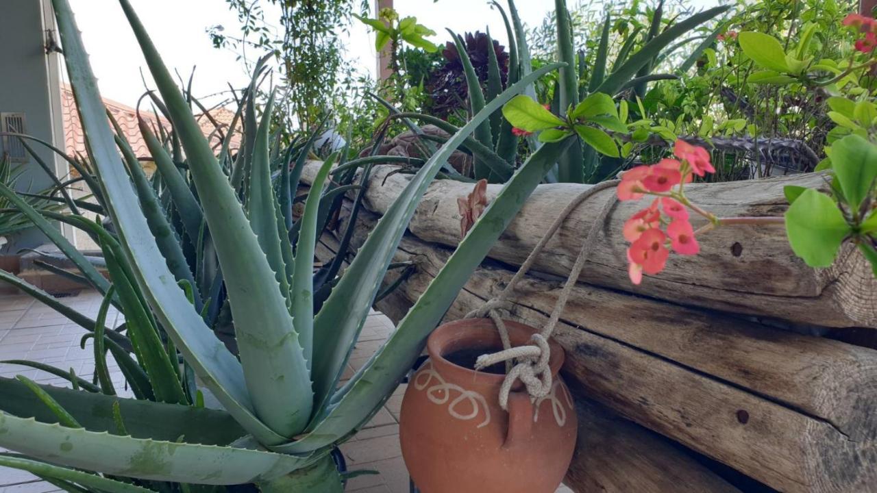 הוילה קלמאטה Wonderful Spot To Recharge מראה חיצוני תמונה